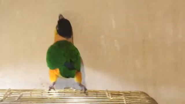 6425A920 6A61 4F3D A02F 53BF9D272A57 смотреть онлайн