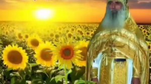 Прозорливость Ростовского старца Модеста (Потапова)