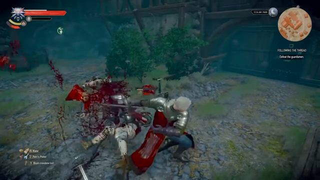 The Witcher 3: Wild Hunt – Double Execution смотреть онлайн