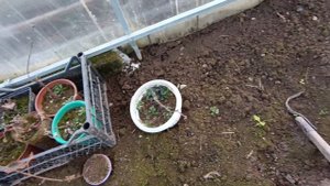 ДЕНЬ ПРОДОЛЖАЕТСЯ.ЧТО КУПИЛА