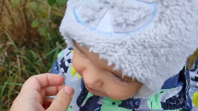 БОЛЬШОЙ ВЛОГ: УСТАНОВКА СЕПТИКОВ, ЭЛЕКТРИКА, МЫ НА ДАЧЕ, ВКУСВИЛЛ, МАЛИНА В ОКТЯБРЕ, ПОДРАБОТКА