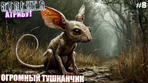 ОГРОМНЫЙ ТУШКАНЧИК | СТАЛКЕР АТРИБУТ | СЕРИЯ 8 ☠️