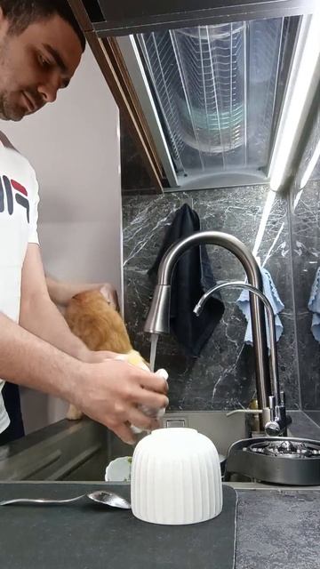 шуршим по дому в посудомоевЪ день! #праздник #8марта #кухня #посуда #посудомойка смотреть онлайн