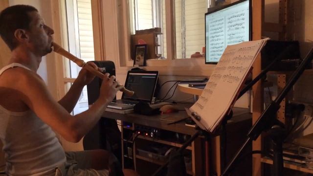 J.S.Bach - Sonata Eb major, BWV1031 - I. Allegro moderato, Daniel Rubin - alto recorder смотреть онлайн