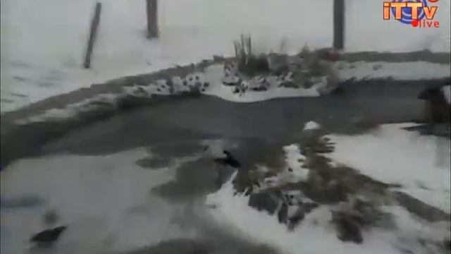 Bociany i czapla Klekusiowo 2.04.2013 смотреть онлайн