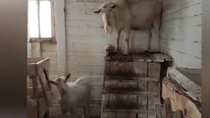 Поздравление с Праздником Весны!