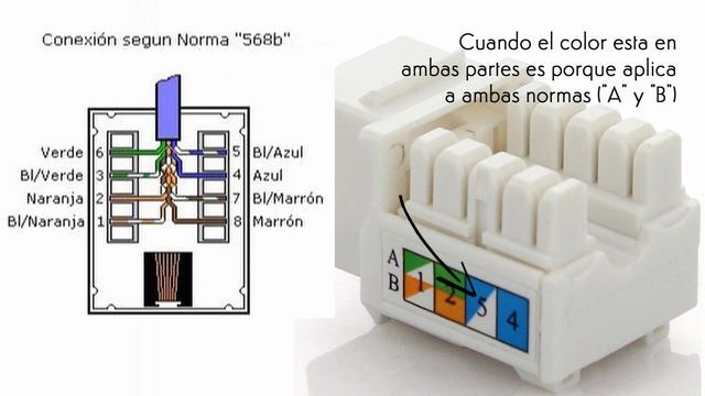 Conexión de Cable UTP a Jack RJ45 | 3 Sencillos Pasos + Prueba de Conexión смотреть онлайн