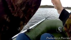 Ловля щуки на Китайские воблеры. ZipBaits Orbit 90 + Rudra 130мм . Орбит 90 жжот !