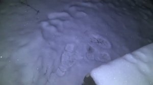 Ночная проверка сторожей 19.02.2021