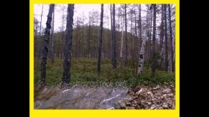19) река ГУР река УДОМИ ДАЛЬГИПРОТРАНС слайд