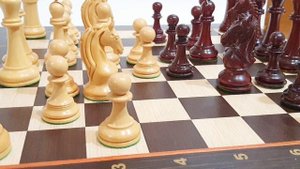 шахматы Пятигорский после утраты части фигур замена .mp4