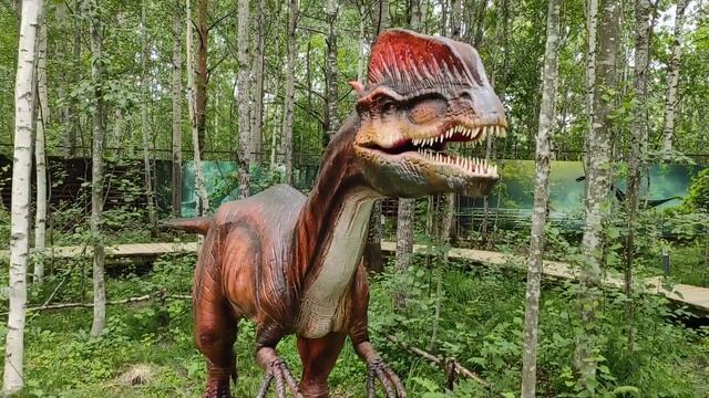 Дилофозавр. Дино парк Петрозаводск. смотреть онлайн