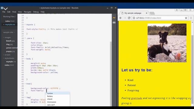 Web Development Tutorial For Beginners | Web Development from Scratch | Part -20 entertainment medi