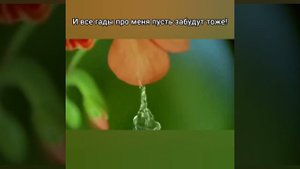 Аффирмация на каждый день