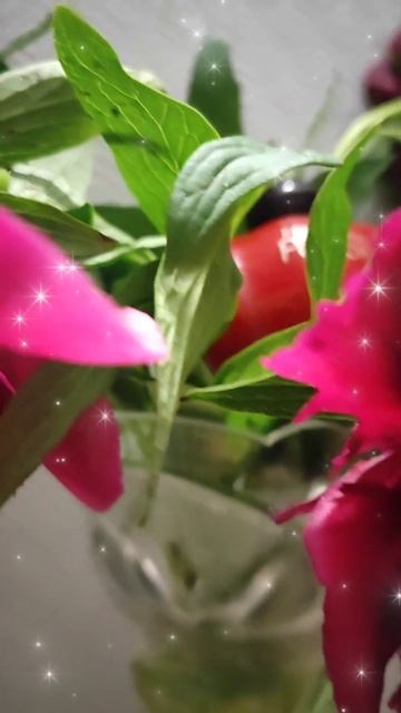 Dior Hypnotic Poison 👍🏻 смотреть онлайн