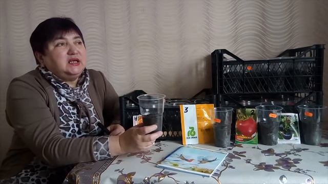 🍅 Посадка своей рассады высокорослых помидор🌱 закалка рассады помидор 🔖 заметки об урожайности