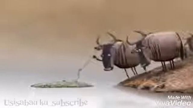 Hili ni gogo au mamba.. Subscribe смотреть онлайн