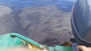 Ямаха 9.9 обкатка