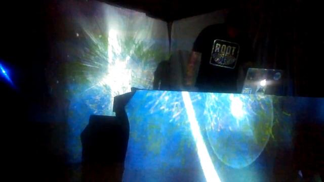 Gypsy Mamba  Wordovmouth