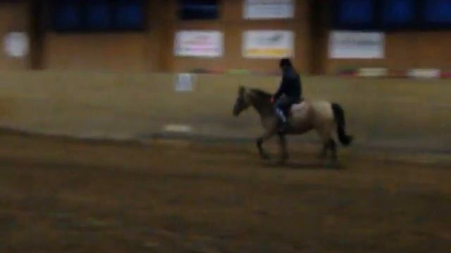 film inviolatas nicolientje смотреть онлайн