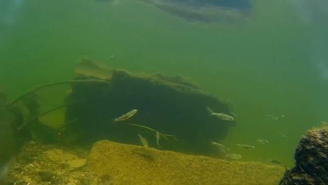 # 3 - 1 Олександрія. День перший смотреть онлайн