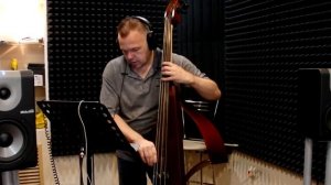 Электроконтрабас своими руками. Электроконтрабас Raven