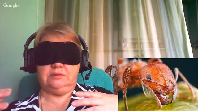 Исследование копий души   часть 3