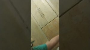 обзор на туалет