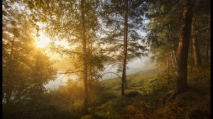 А  Фет  Шёпот, робкое дыханье #стихиолюбви #поэты19века