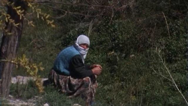 Pigeon Valley (Guvercinlik Vadisi) смотреть онлайн