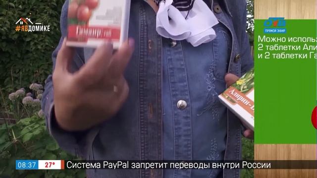 Руки садовода - Боремся с фитофторой смотреть онлайн