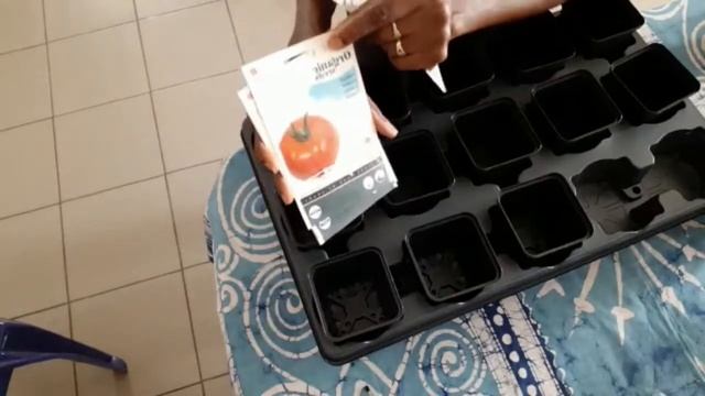 Starting Organic DIY Vegetable Garden  My Backyard Gardening