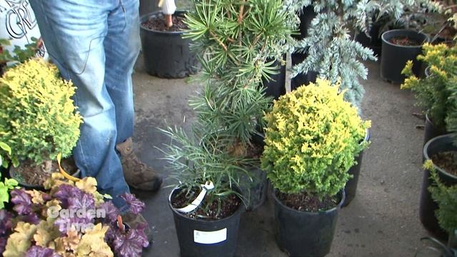 French Prairie Perennials - GardenPalooza смотреть онлайн