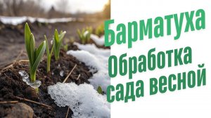Обработка сада ранней весной.