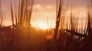 Видео музыка песня Отца