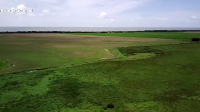 John Deere 6100j, Working! Almoço foi pão com linguiça assada! смотреть онлайн