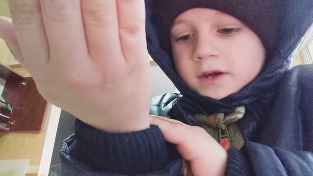 сколопендра смотреть онлайн