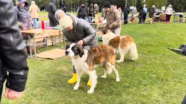 МЕЧТА ЗОЛОТОФФ ГРАДА С РУССКОЙ ДУШОЙ смотреть онлайн