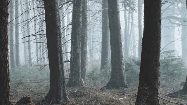 Хелависа и Тиль Уленшпигель - Княже смотреть онлайн