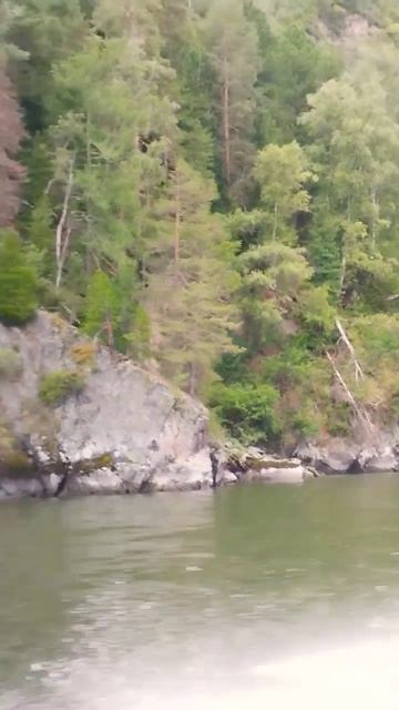 Алтайский биосферный заповедник. Телецкое озеро. Республика Алтай. ⛰️🛥️🏔️ #altai #siberia смотреть онлайн