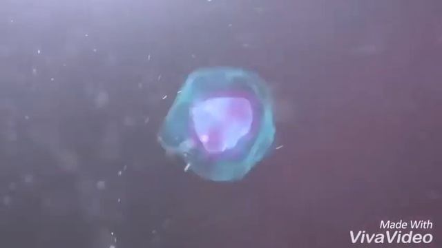 Моё интро (оцените до 5) смотреть онлайн