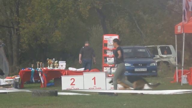 01 10 16 моно г.Большой Камень кобели класс юниоров смотреть онлайн