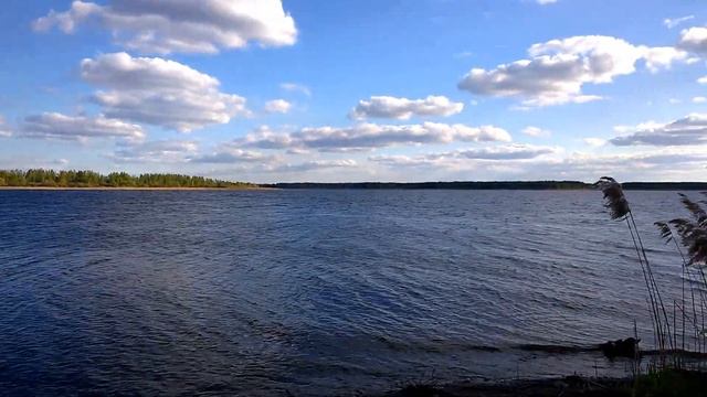 Вазузское водохранилище смотреть онлайн