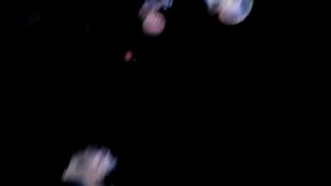 Красивые медузы