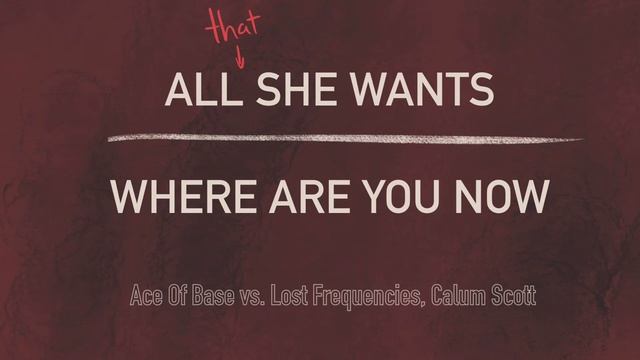 WHERE ARE YOU NOW | ALL THAT SHE WANTS (SNBRN) - Lost Frequencies, Calum Scott, Ace Of Base, SNBRN