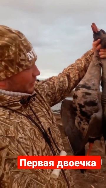 Взяли первых двух гусей.