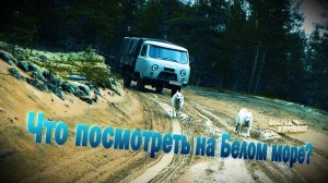 Аметистовый берег, Кузомень, Онежское озеро
