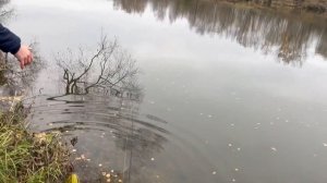 Рыбалка в Москве. Рублево часть 2