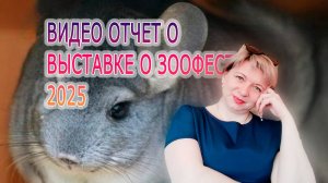 ОТЧЕТ О ВЫСТАВКЕ ЗООФЕСТ 2025| ЭКСПЕРТИЗА ШИНШИЛЛ
