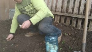 Чеснок раком боль.